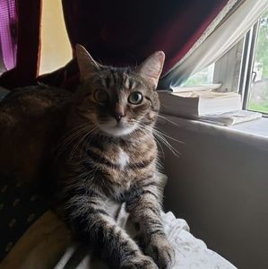 Meet your Posher, Chrissy